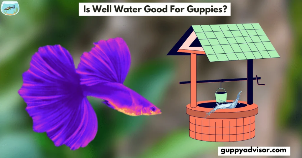 Is well water good for guppies?